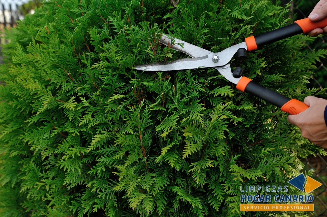 Servicios de Jardinería